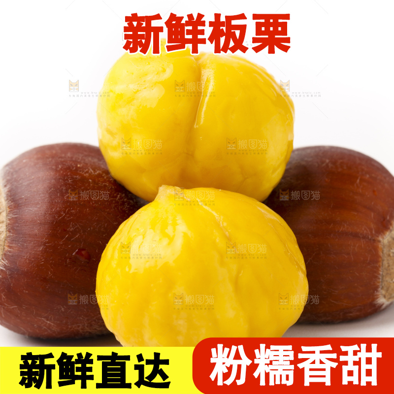 浅底上的迁西板栗