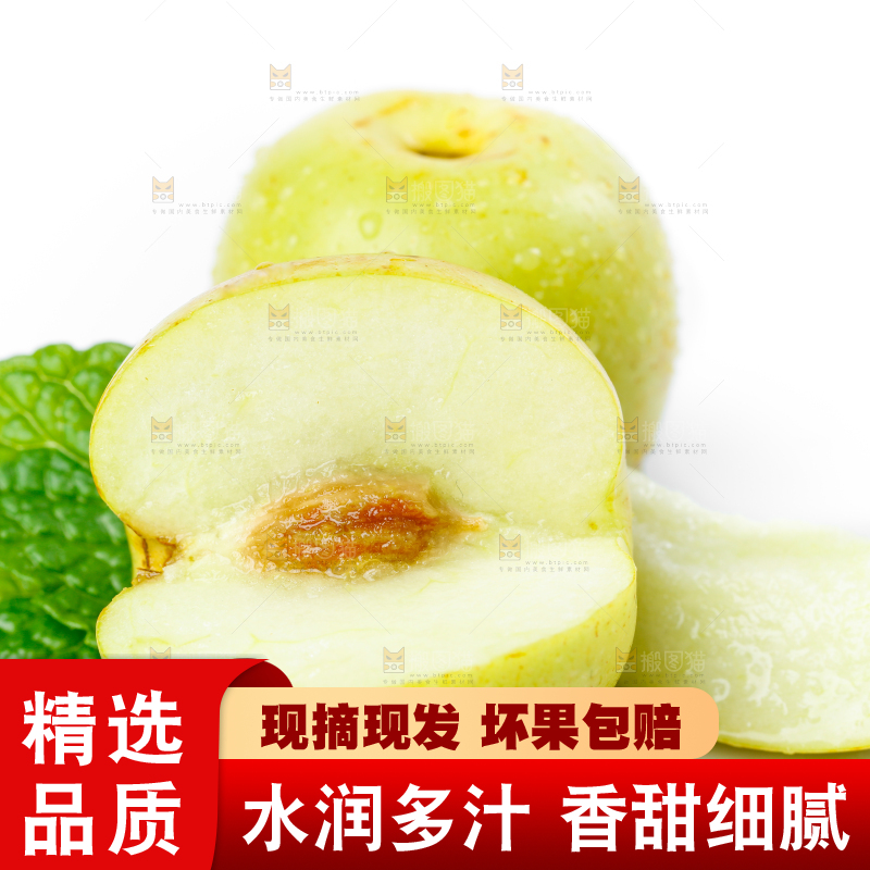 白底上的冬枣
