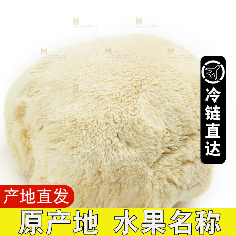 盘子里装着新鲜猴头菇