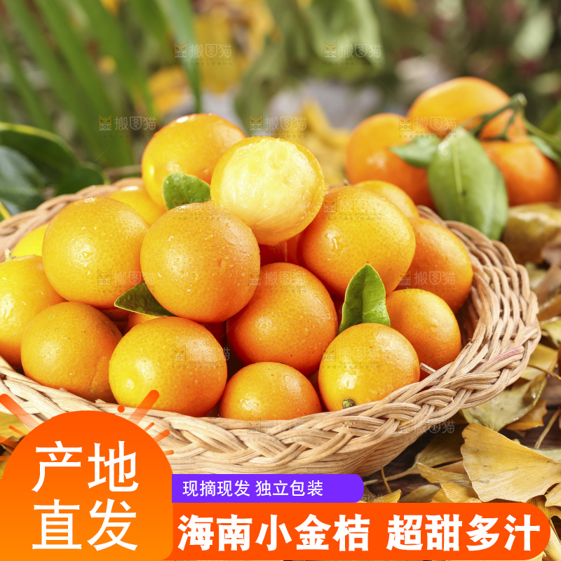 篮子里装着金钱桔