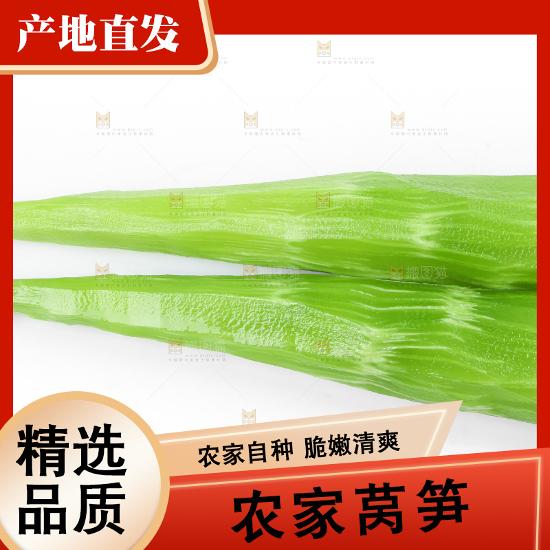 白底上摆放着莴苣