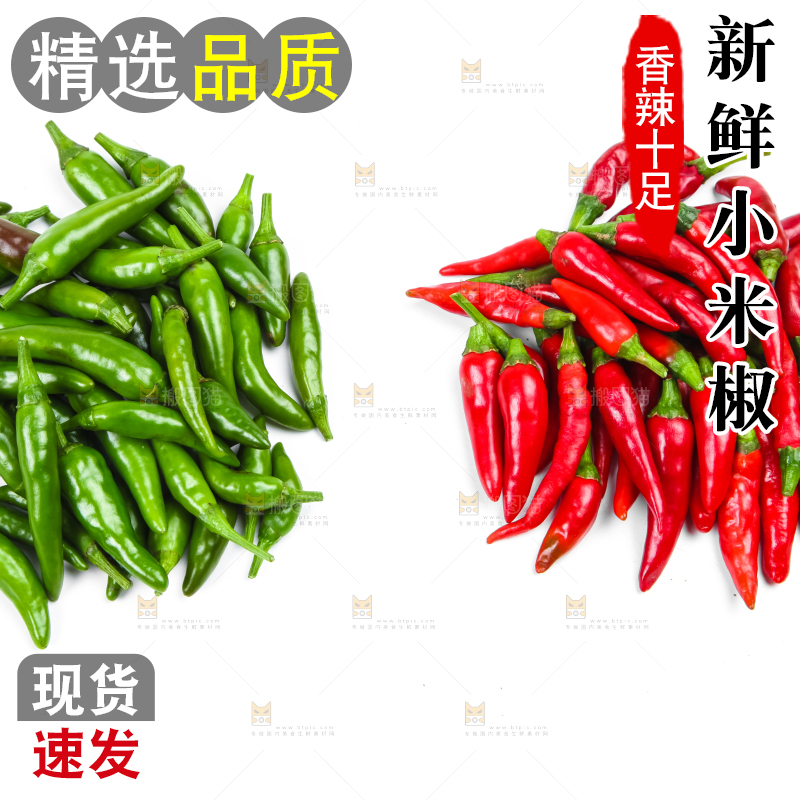 白底上摆放着广西小米椒