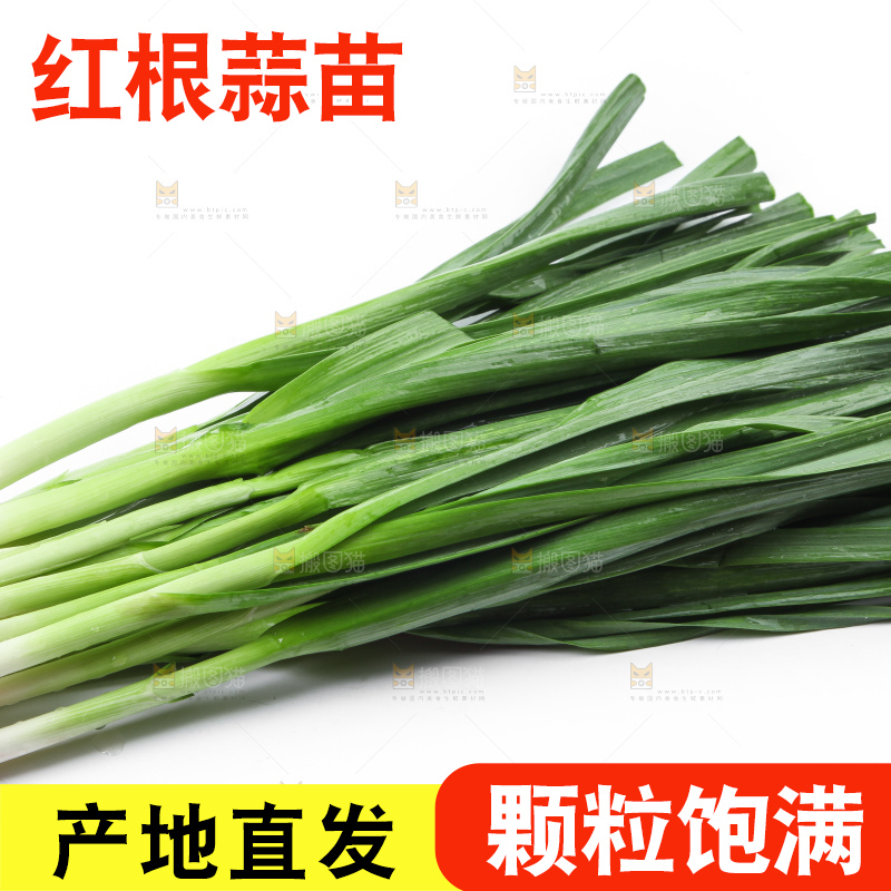白底上放着蒜苗
