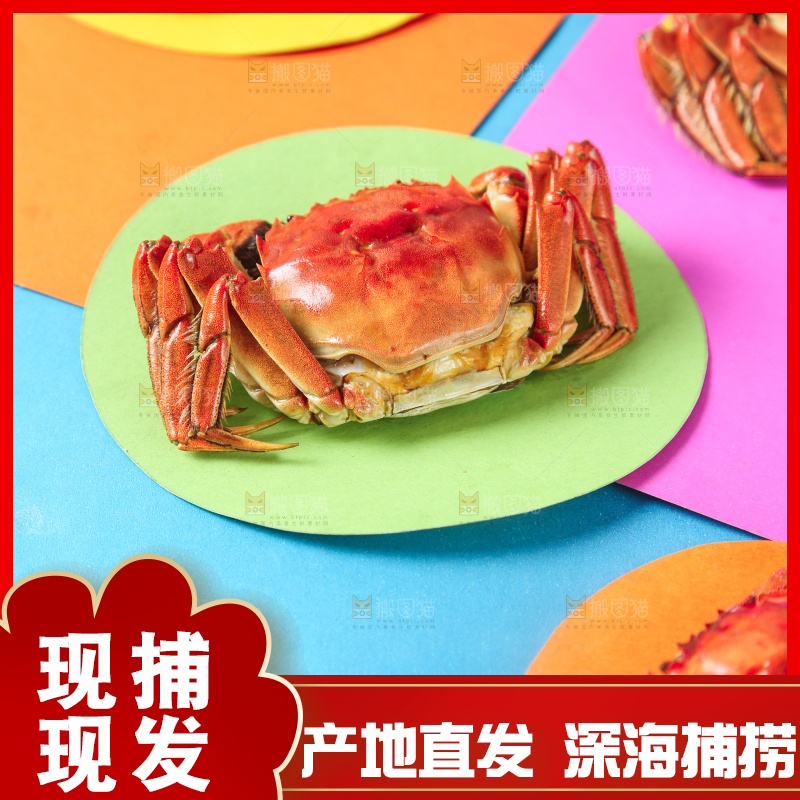 彩底上的螃蟹
