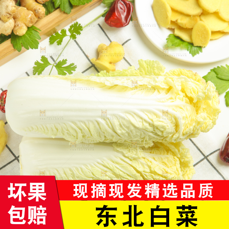 白格子底上的大白菜