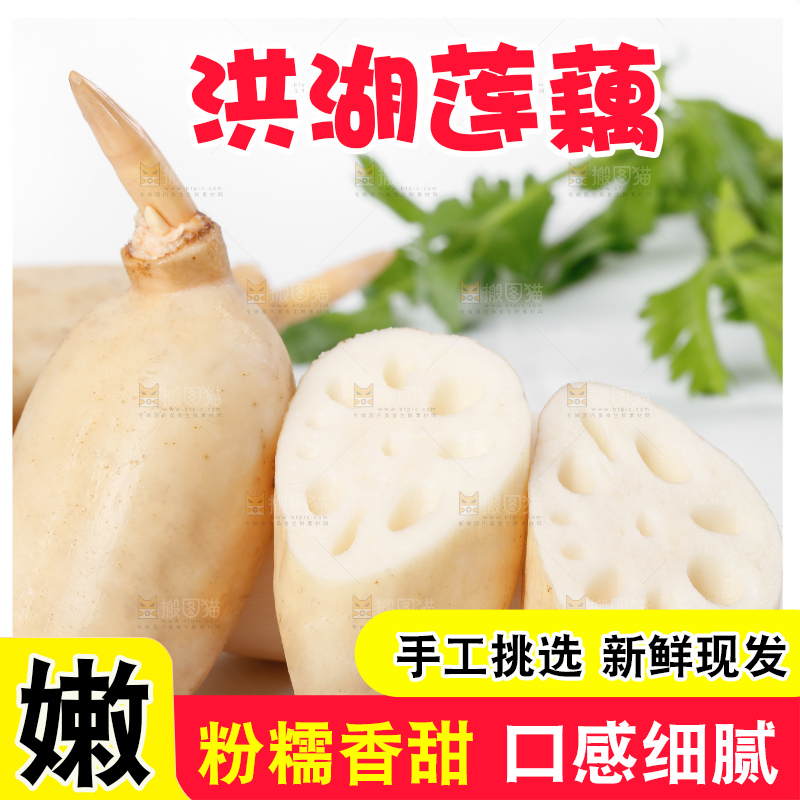 白底上一堆湖北洪湖莲藕
