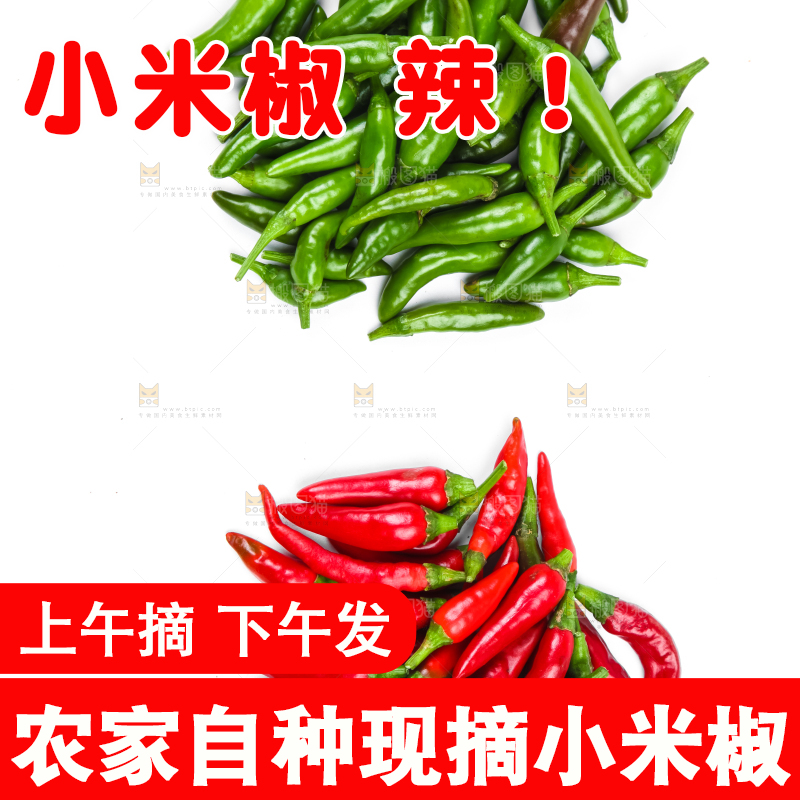 白底上摆放着广西小米椒