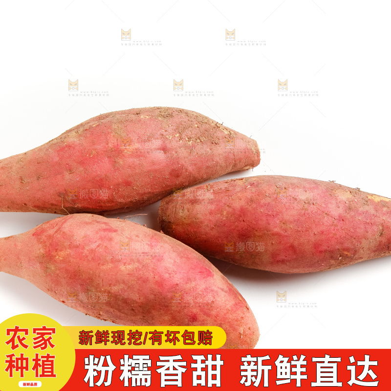 白底上摆放着红薯