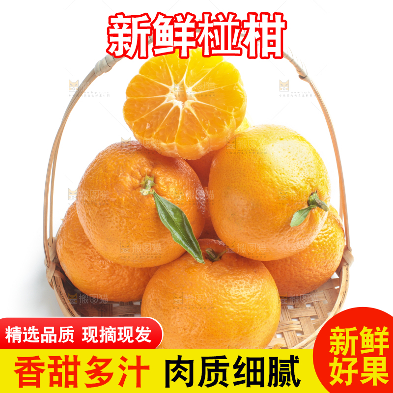 篮子里装着柑橘