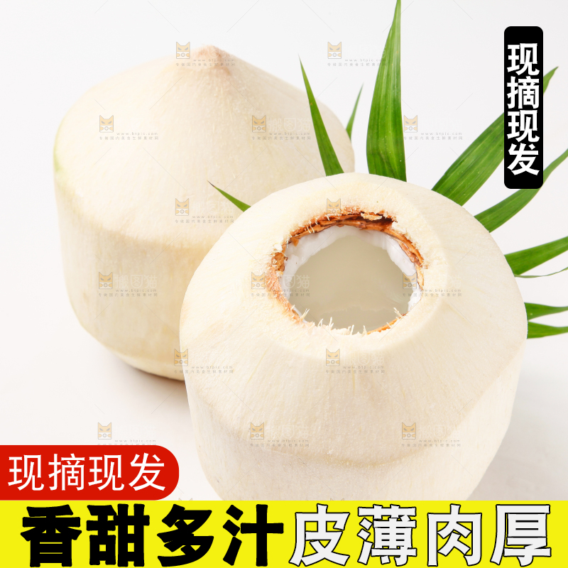 浅底上放着青椰子