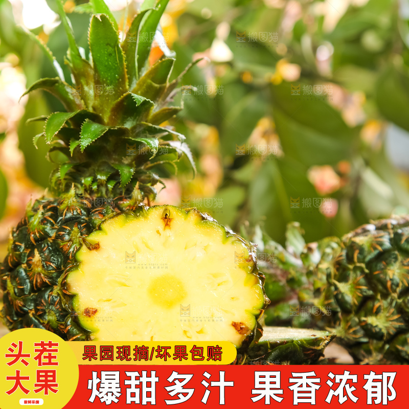 黑石板上的新鲜小菠萝