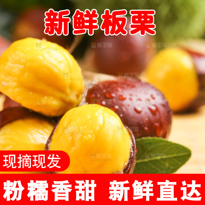 深底上的迁西板栗