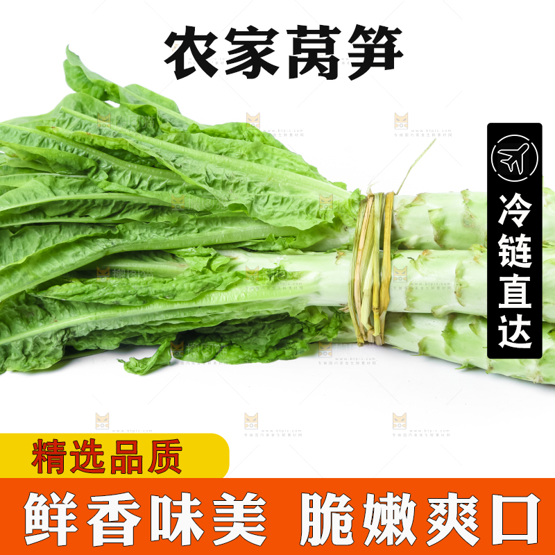 白底上的莴笋