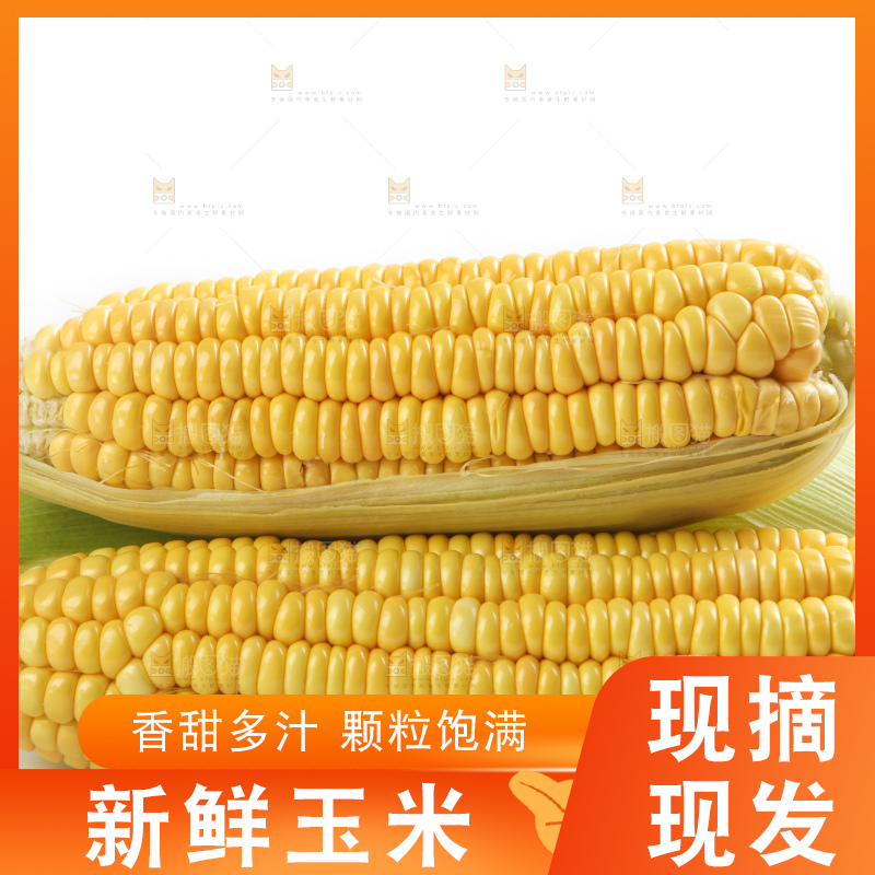 白底上放着黄玉米