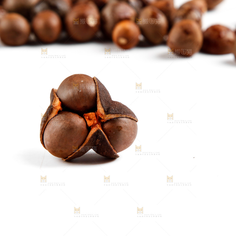白底上的茶树果