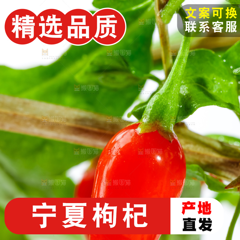 白底上放着枸杞