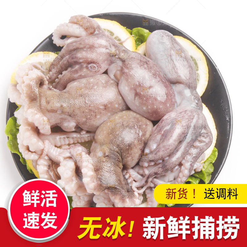 盘子里的大连章鱼