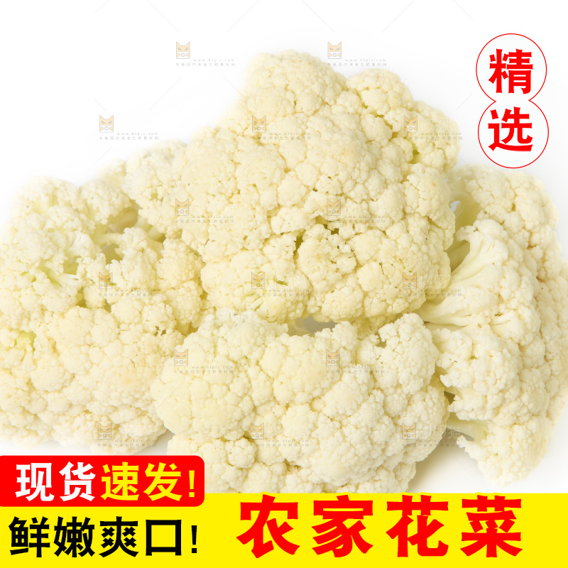 白底上的花菜