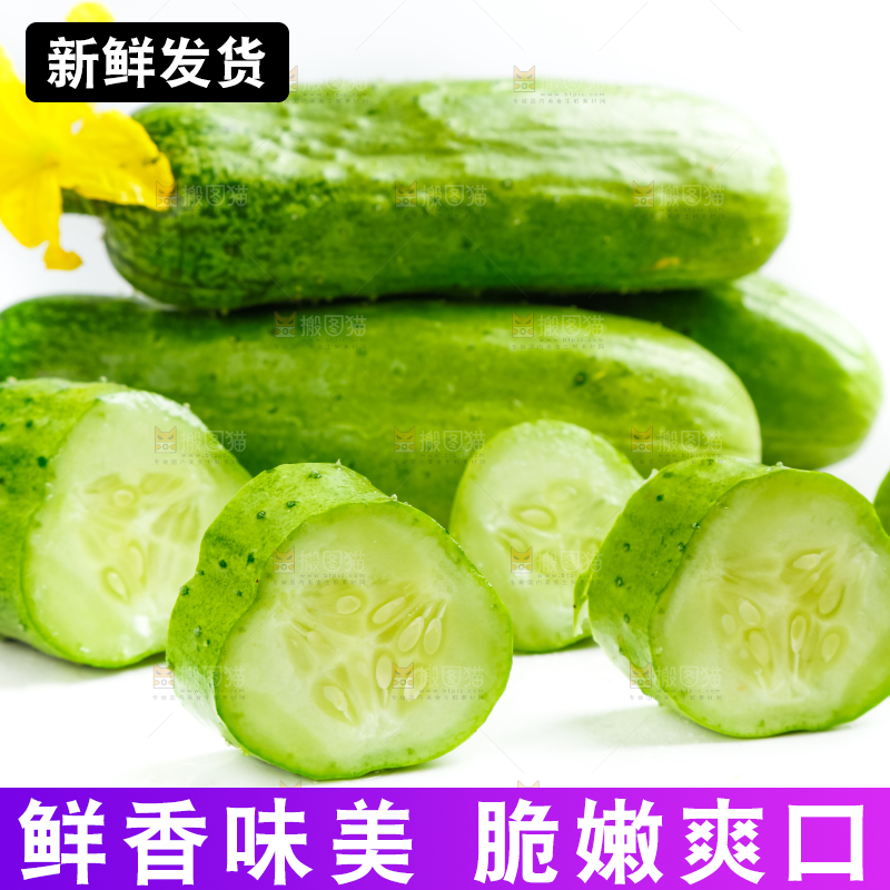 白底上放着新鲜旱黄瓜