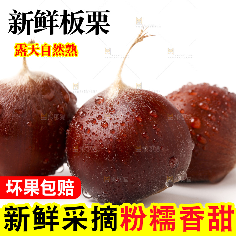 白底上一堆栗子