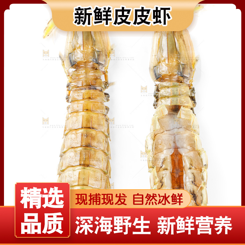 白底上的皮皮虾