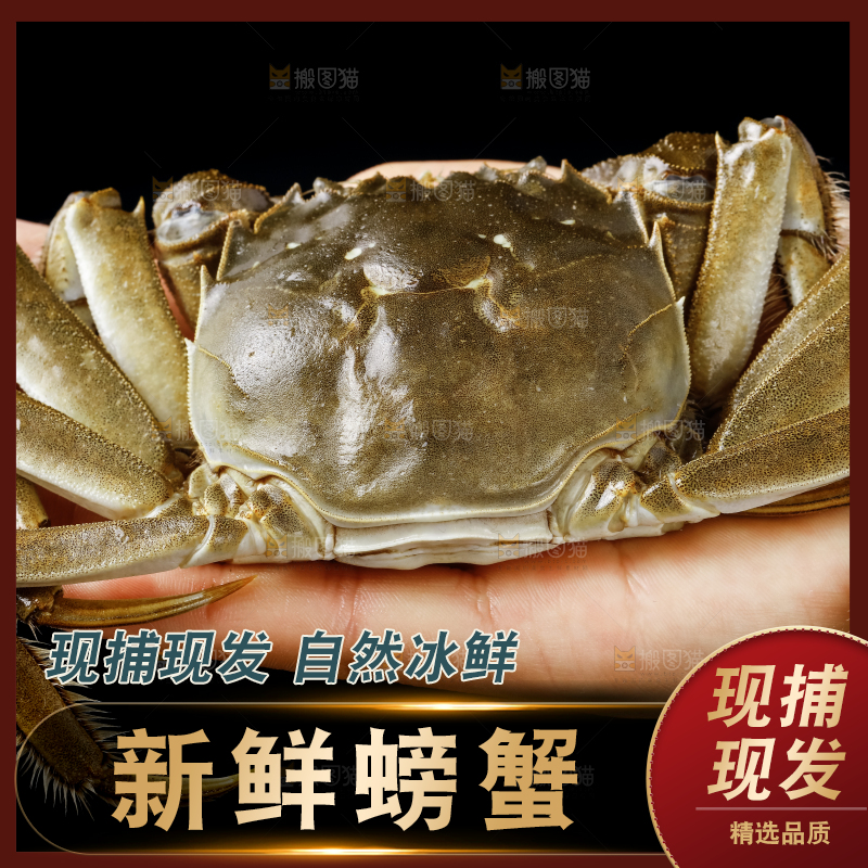手里拿着鲜活螃蟹