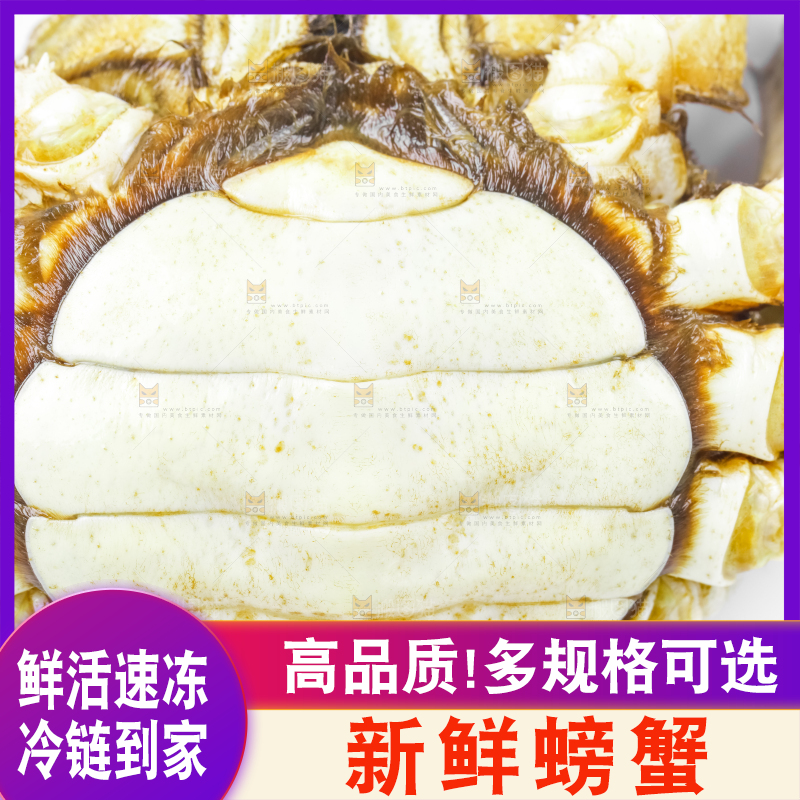 浅底上的鲜活螃蟹