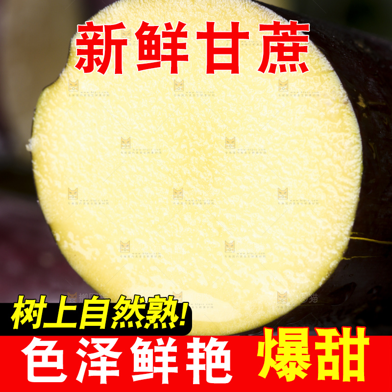 石板上放着广西黑皮甘蔗