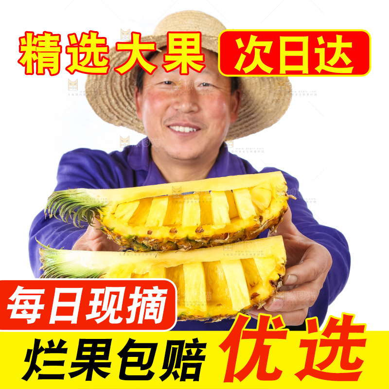 农民手里拿着香水菠萝