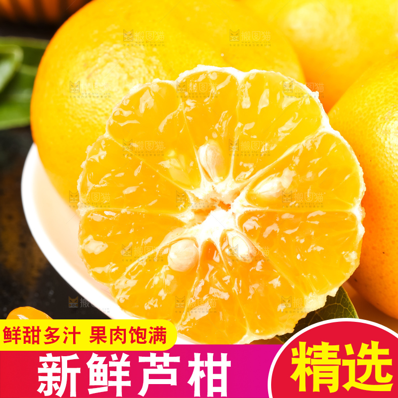 黑底上的福建芦柑