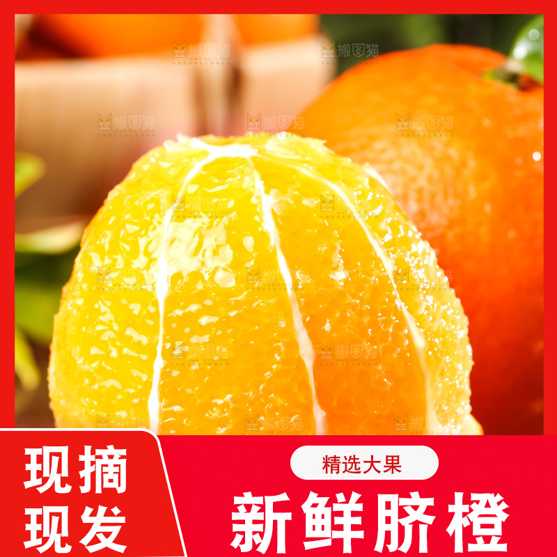 黄板子上的脐橙