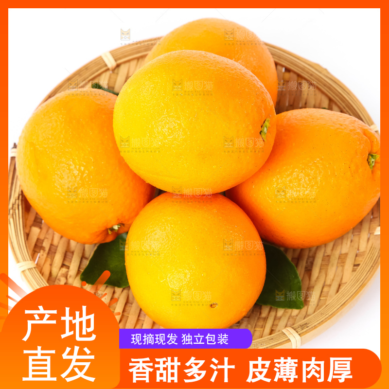 篮子里装着赣南脐橙