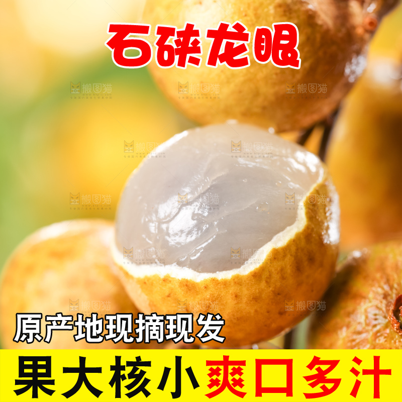 浅底上的广东龙眼