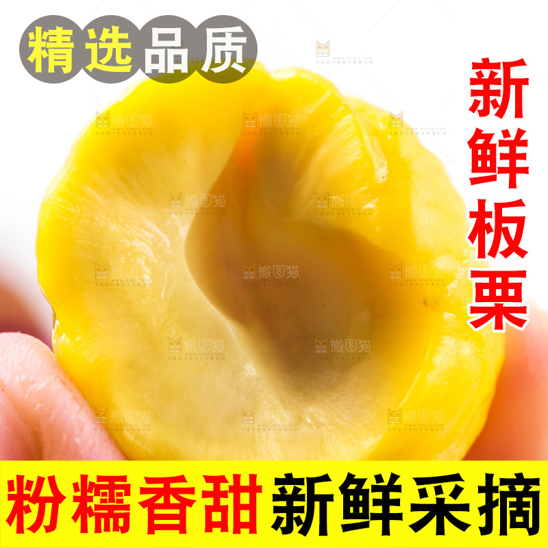 浅底上的板栗