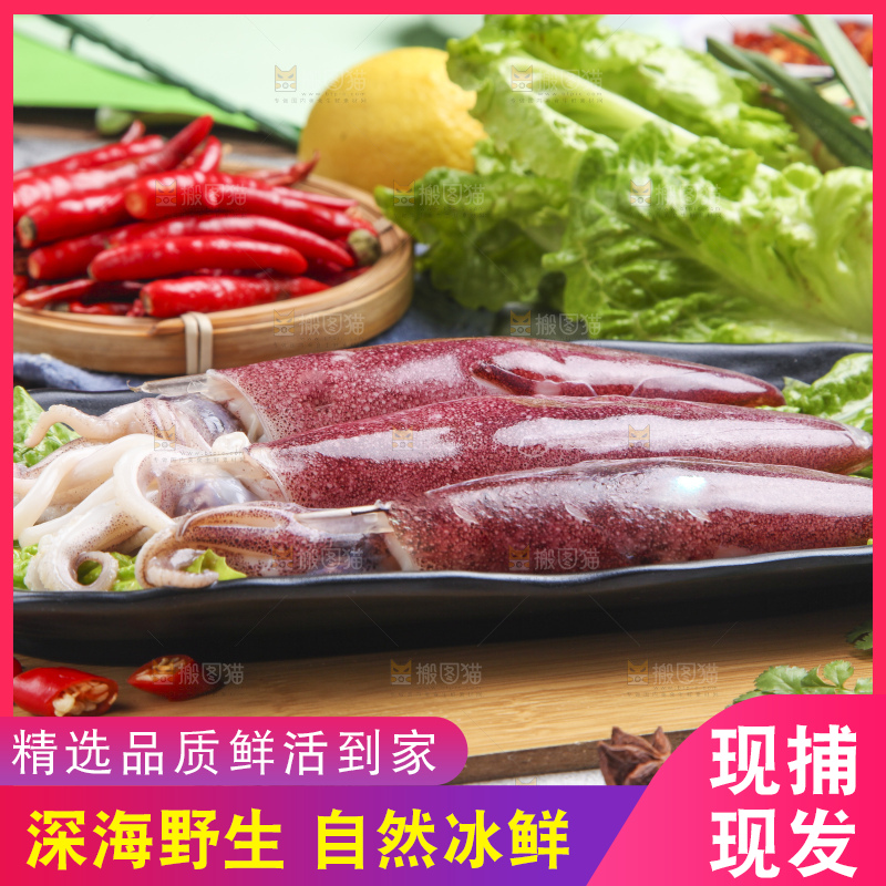 木板上的海兔子