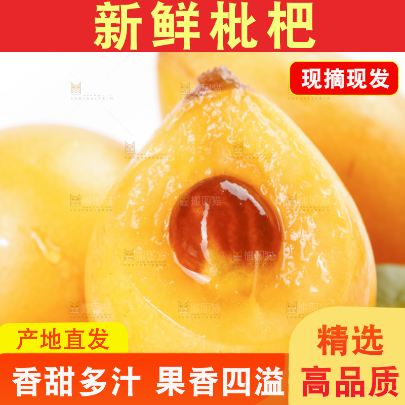 白底上放着攀枝花米易枇杷