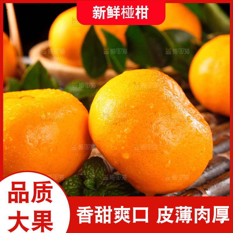 竹底上摆放着橘子