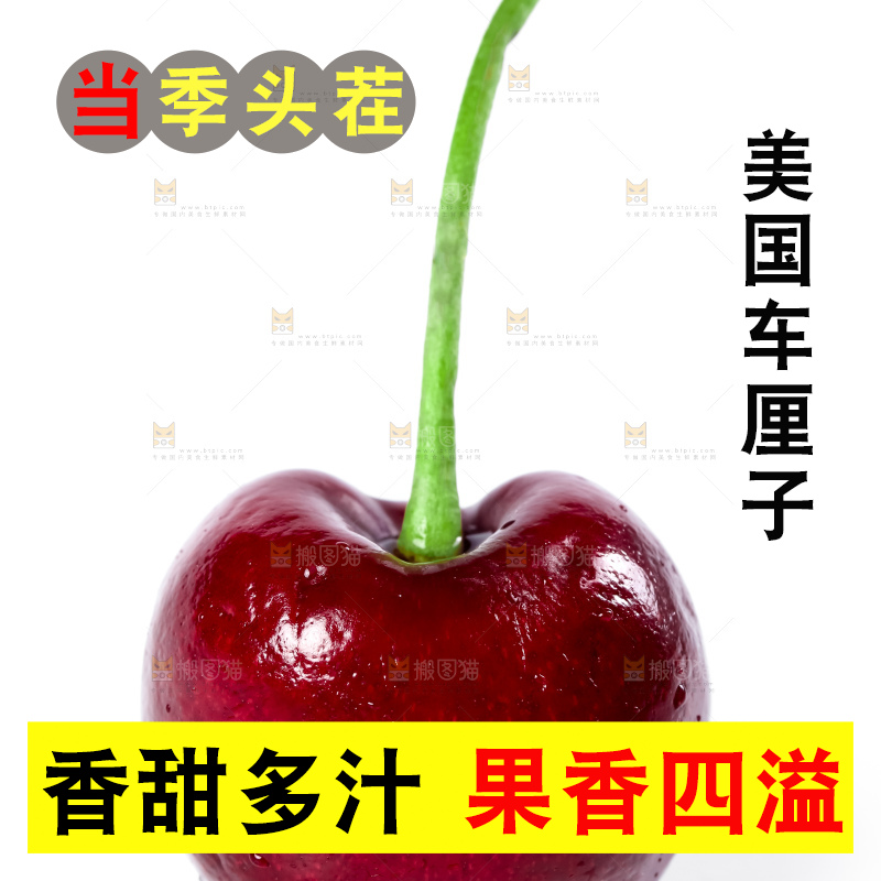 白底上的新鲜车厘子