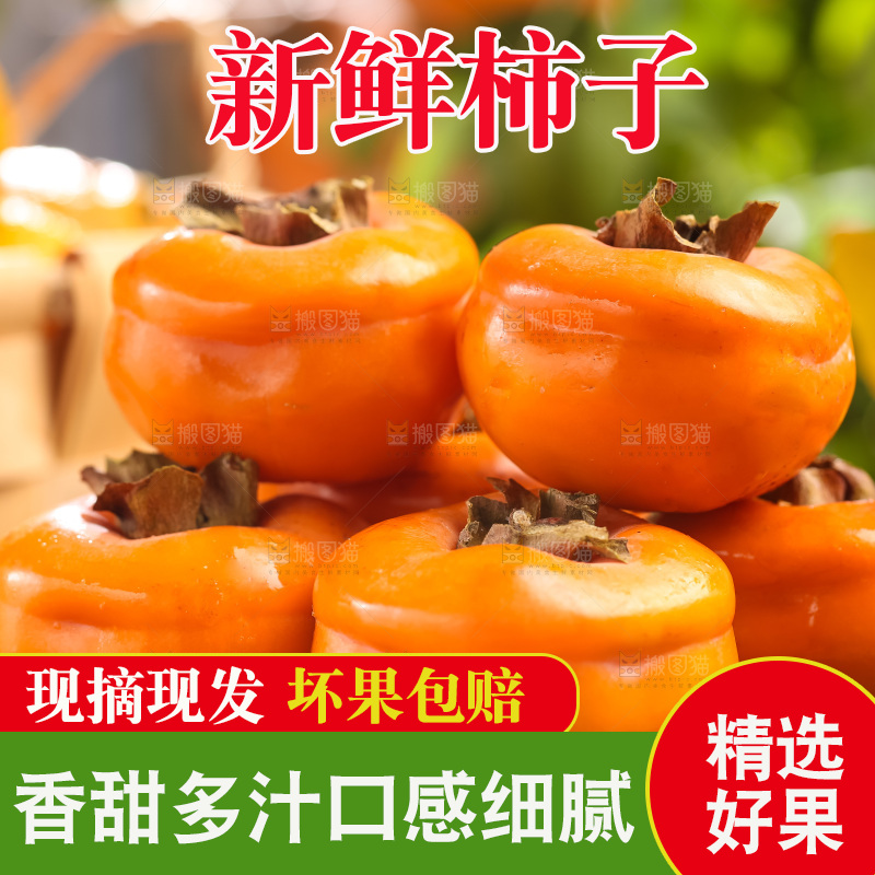 黑石板上放着易县磨盘柿