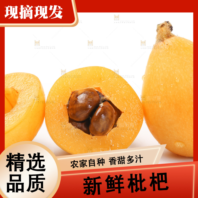 白底上的枇杷