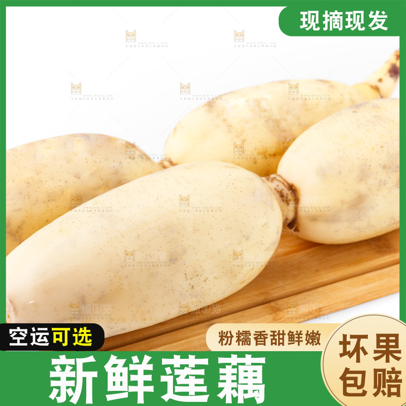 白底上放着莲藕