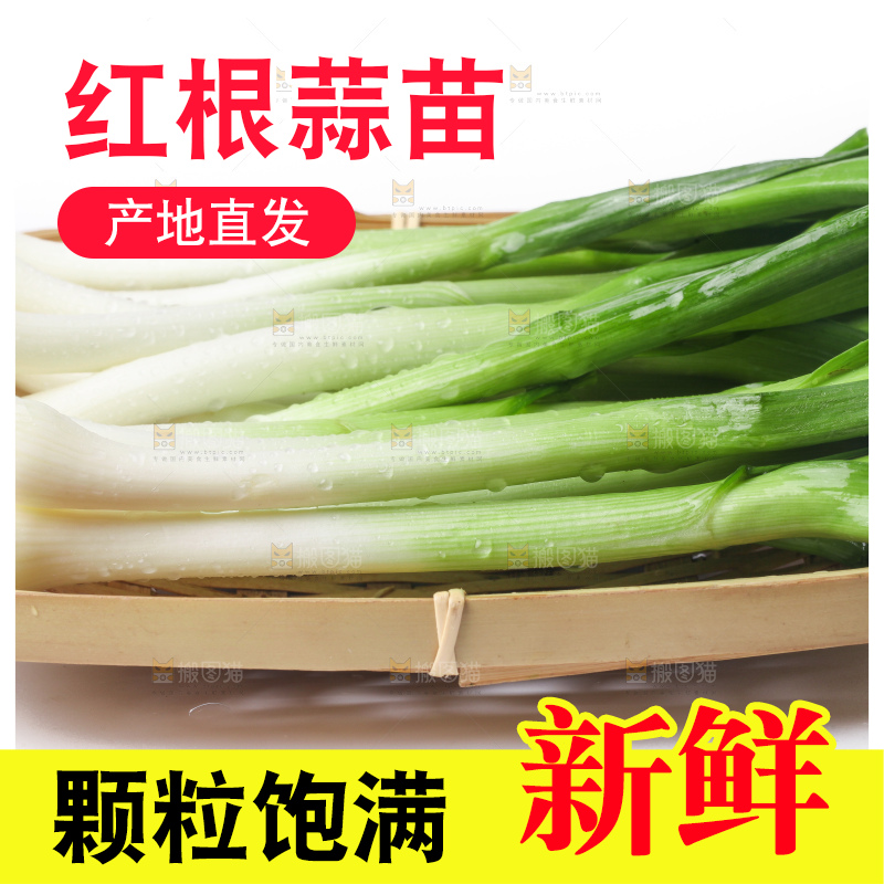 白底上放着蒜苗