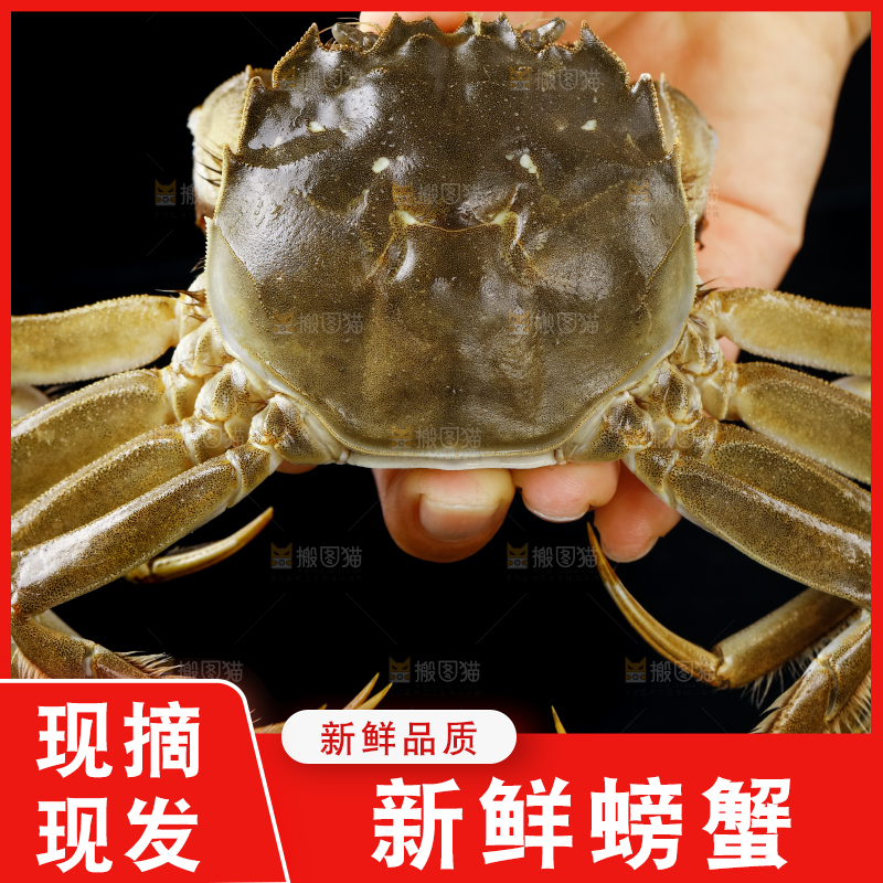 手里拿着鲜活螃蟹