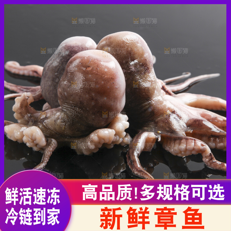 黑底上的八爪鱼