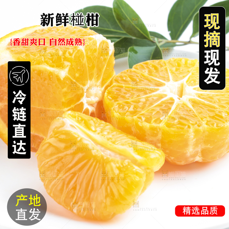 白底上放着四川椪柑