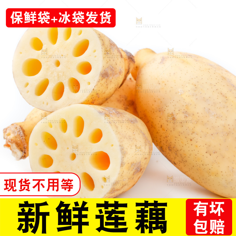 白底上的白莲藕
