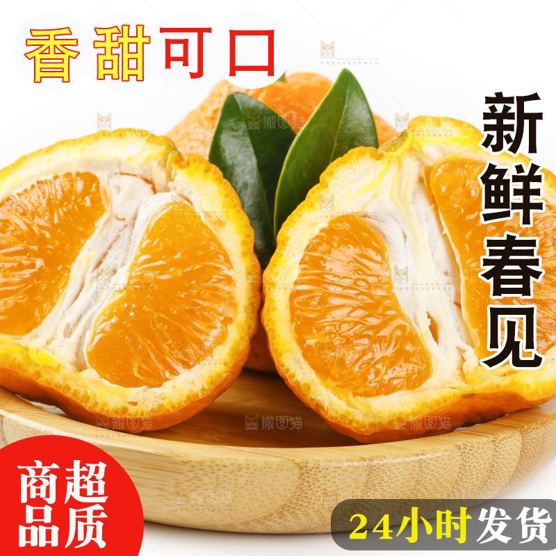 盘子里的春见耙耙柑