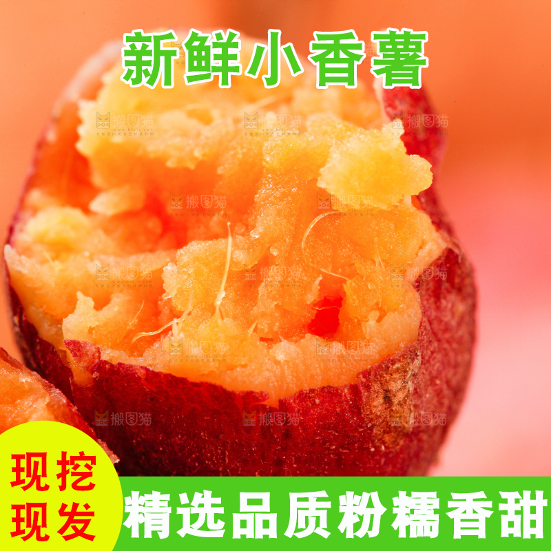 深底上的天目山小香薯