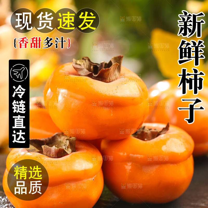 黑石板上放着易县磨盘柿