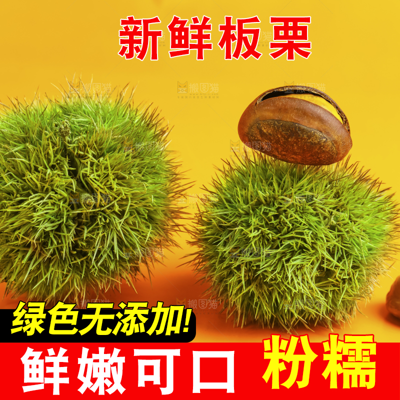 黄底上的迁西板栗